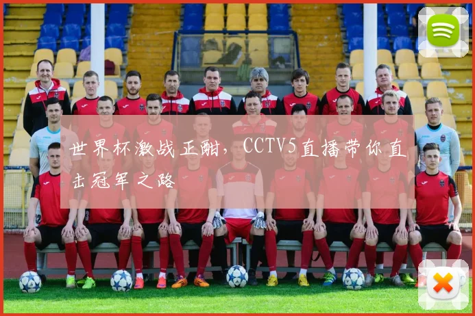 世界杯激战正酣,CCTV5直播带你直击冠军之路