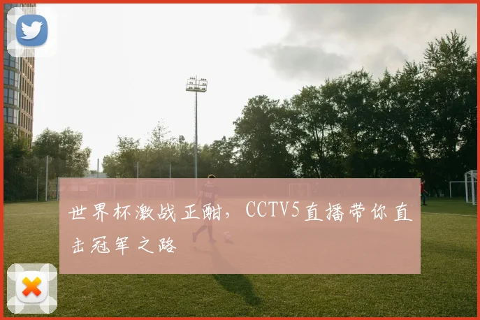 世界杯激战正酣，CCTV5直播带你直击冠军之路