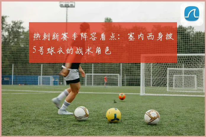 热刺新赛季阵容看点:塞内西身披5号球衣的战术角色